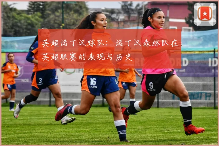 英超诺丁汉球队：诺丁汉森林队在英超联赛的表现与历史