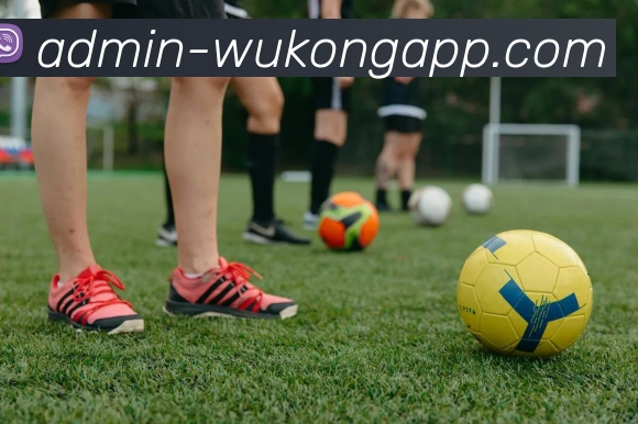 悟空体育appAPP 高清赛事图